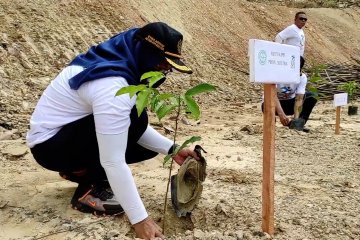 Atasi penebangan liar, Purna Paskibraka Sultra aksi tanam pohon