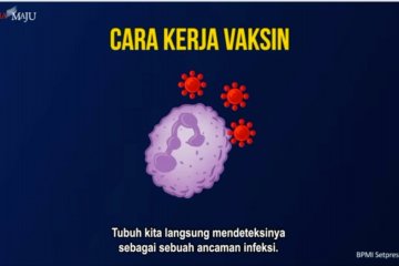 BPOM: butuh 3 bulan terbitkan izin vaksin COVID-19