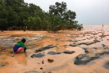 Pantai Tanjung Bembam tertutup lumpur usai banjir