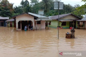 Ratusan rumah di Aceh Timur terendam banjir