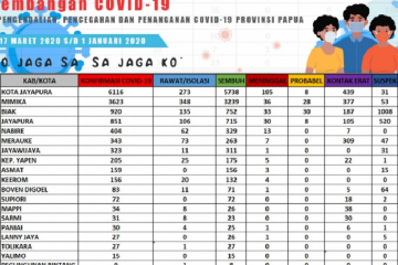 Tingkat kesembuhan COVID-19 di Papua jadi 90 persen