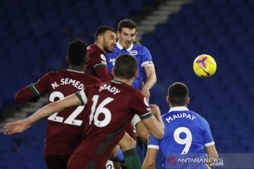 Brighton dan Wolverhampton berbagi poin setelah lewati hujan enam gol