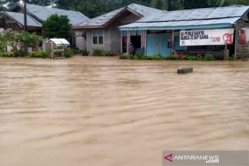 Banjir meluas, ribuan warga Aceh Timur terdampak