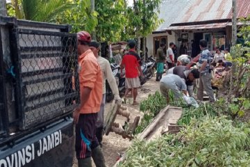 Petugas kebersihan Kota Jambi angkut 50 ton sampah usai banjir