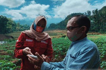 BNI uji coba "smart farming" di lima provinsi