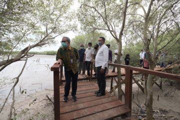 KKP: Gresik kini miliki selasar jelajah mangrove 1,5 kilometer