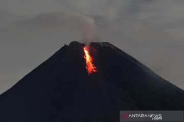 BPPTKG: Gunung Merapi empat kali keluarkan awan panas guguran