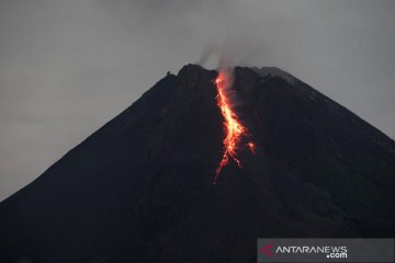 BPPTKG: Guguran lava pijar Gunung Merapi ke luar 15 kali