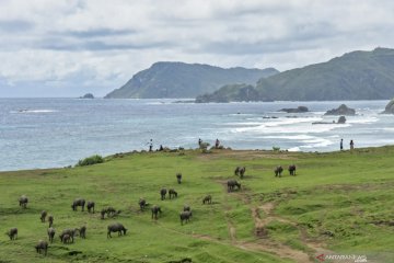 Mengenal lima destinasi wisata super prioritas