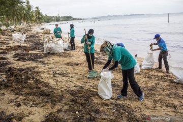 Bersih pantai yang tercemar limbah minyak hitam di Batam