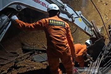 Tim SAR gabungan temukan dua korban longsor di Batam meninggal
