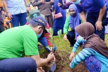 Sejuta bibit pohon ditanam di Lubuak Galapuang, Padang