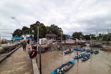 Desa pesisir terancam tenggelam, pemerintah didesak lakukan pemulihan