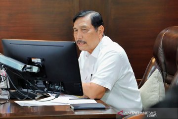 Luhut minta peta jalan pengembangan food estate selesai April