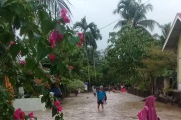 150 rumah warga  Bungus Padang terendam banjir