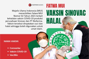 Fatwa MUI: Vaksin Sinovac halal