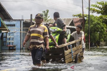 BNPB: Banjir di Tanah Laut Kalsel sebabkan 1.312 jiwa terdampak