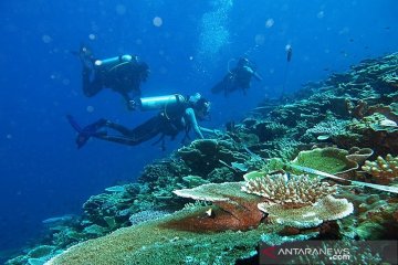 KKP dukung pengembangan wisata harta karun bawah laut di Selayar