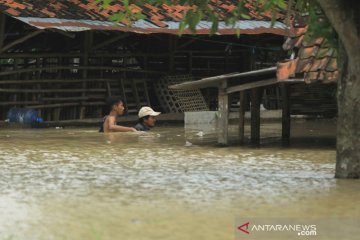 Banjir akibat luapan sungai Cimanuk di Indramayu