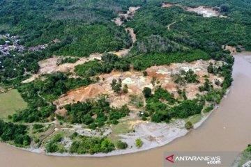 Walhi: Kerusakan hutan di Aceh Barat akibat tambang ilegal