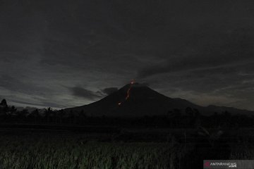 Erupsi Gunung Semeru