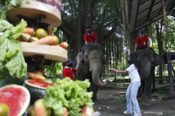 HUT Taman Satwa Taru Jurug