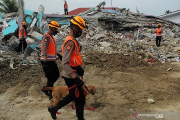 Tim SAR terus sisir pencarian korban terjebak reruntuhan gempa Mamuju