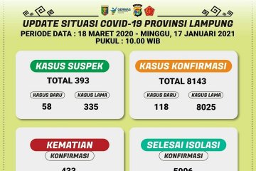 Dinkes: Jumlah positif COVID-19 di Lampung bertambah 118 kasus