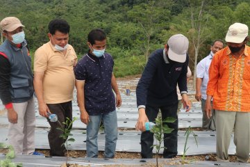 Tumbuhkan kedaulatan pangan, Muhammadiyah tanam sayuran di lahan wakaf