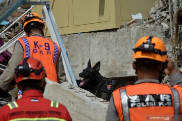 Pencarian korban gempa dengan anjing pelacak