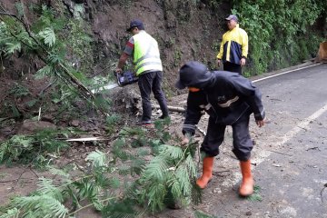 Tanah longsor ganggu akses jalan Kota Batu-Pujon Jatim