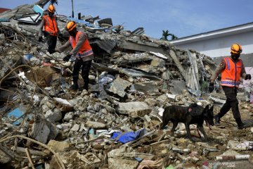 Basarnas: 90 orang meninggal dunia gempa Sulawesi Barat