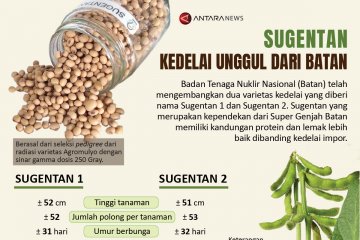 Sugentan, kedelai unggul dari Batan