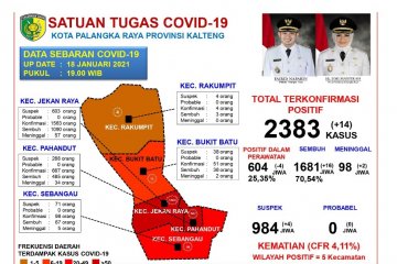 16 warga Palangka Raya dinyatakan sembuh COVID-19