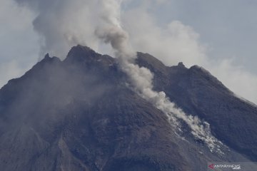 Kemarin Sinabung meletus, Merapi memuntahkan awan panas