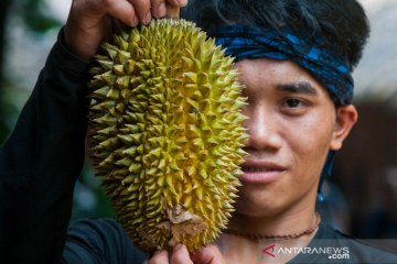 Musim durian Baduy