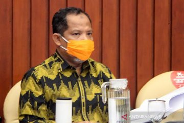 Anggota DPR: Selesaikan permasalahan peremajaan kebun sawit rakyat