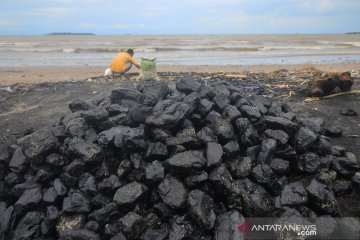 Pantai di Jepara tercemar batu bara
