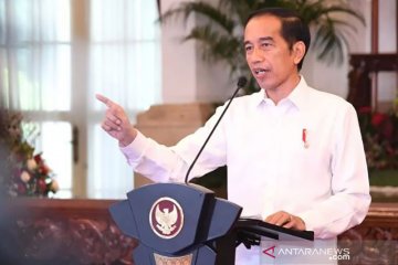 Presiden Jokowi sebut Indonesia punya kekuatan "green product"
