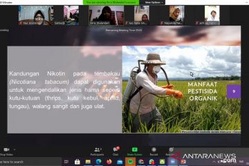 Mahasiswa UMM ajak petani buat pestisida alami dari limbah tembakau