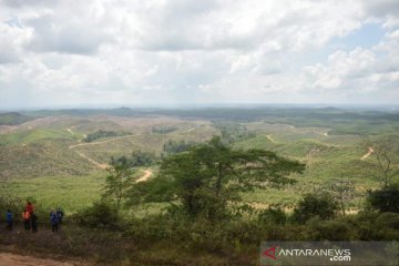 Rencana pemindahan ibu kota negara Indonesia masuk tahap finalisasi