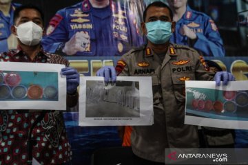 Polda Jatim gagalkan penjualan 3.149 benih lobster ilegal