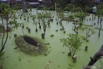 Pekalongan alami penurunan tanah hingga enam centimeter pada tahun 2020