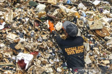 Perjuangan petugas bersihkan lautan sampah di Kali Baru Depok