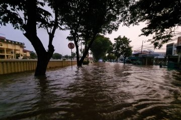 BPBD sebut banjir Manado sebabkan tiga warga meninggal, satu hilang