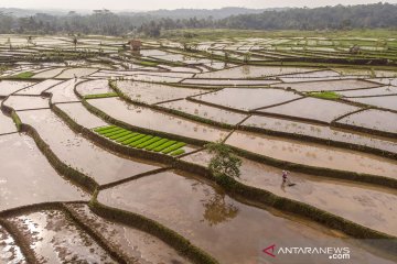 Survei BI indikasikan kebutuhan pembiayaan diprakirakan meningkat