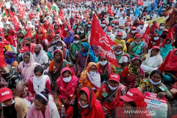 Ribuan petani di India mogok makan protes UU pertanian baru