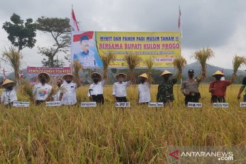 Mendongkrak pendapatan petani Kulon Progo dengan tiga komoditas unggul
