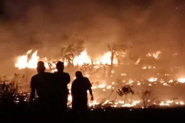 Cuaca panas picu karhutla di Natuna dan Bintan