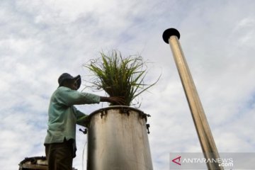 Pengolahan Minyak Serai Wangi